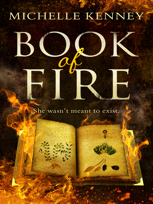 Cover image for Book of Fire